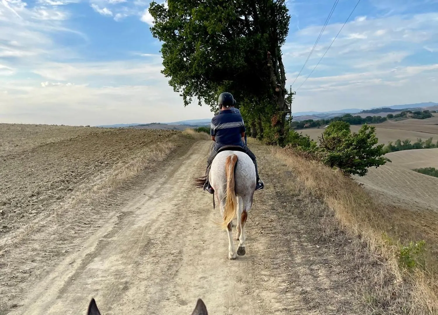 Cottage Con Piscina Immerso Nel Verde Delle Crete Senesi アッシャーノ イタリア