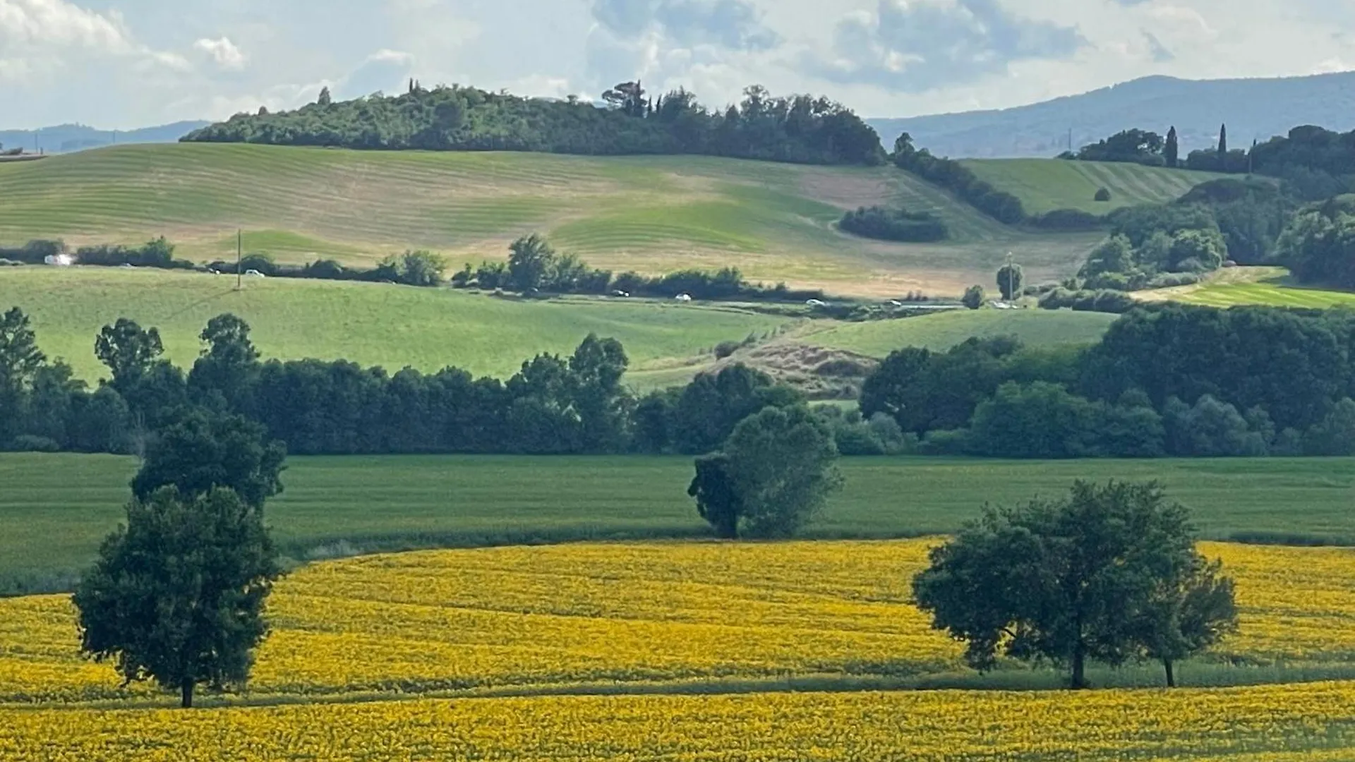 Cottage Con Piscina Immerso Nel Verde Delle Crete Senesi アッシャーノ イタリア