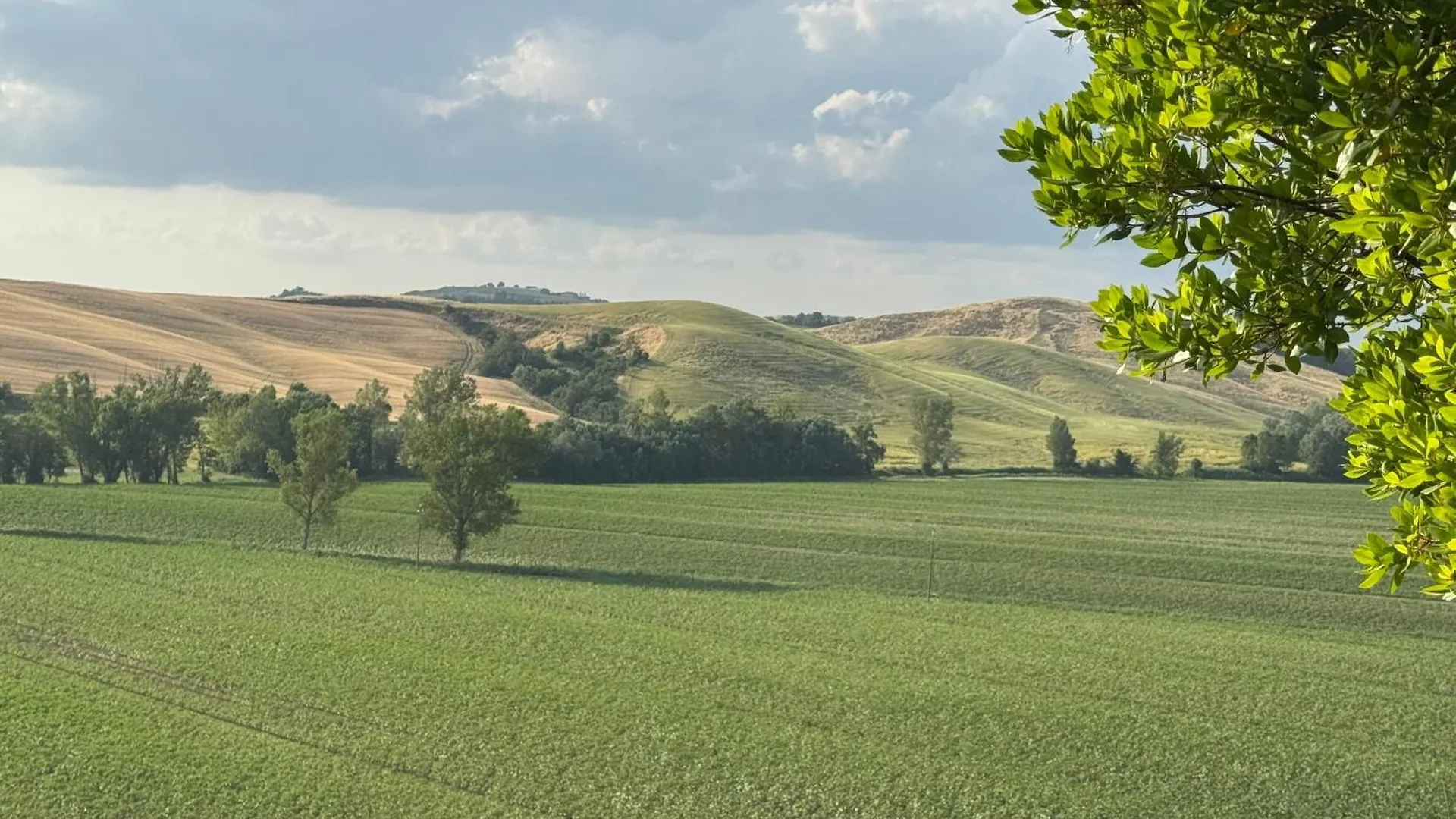 Cottage Con Piscina Immerso Nel Verde Delle Crete Senesi アッシャーノ