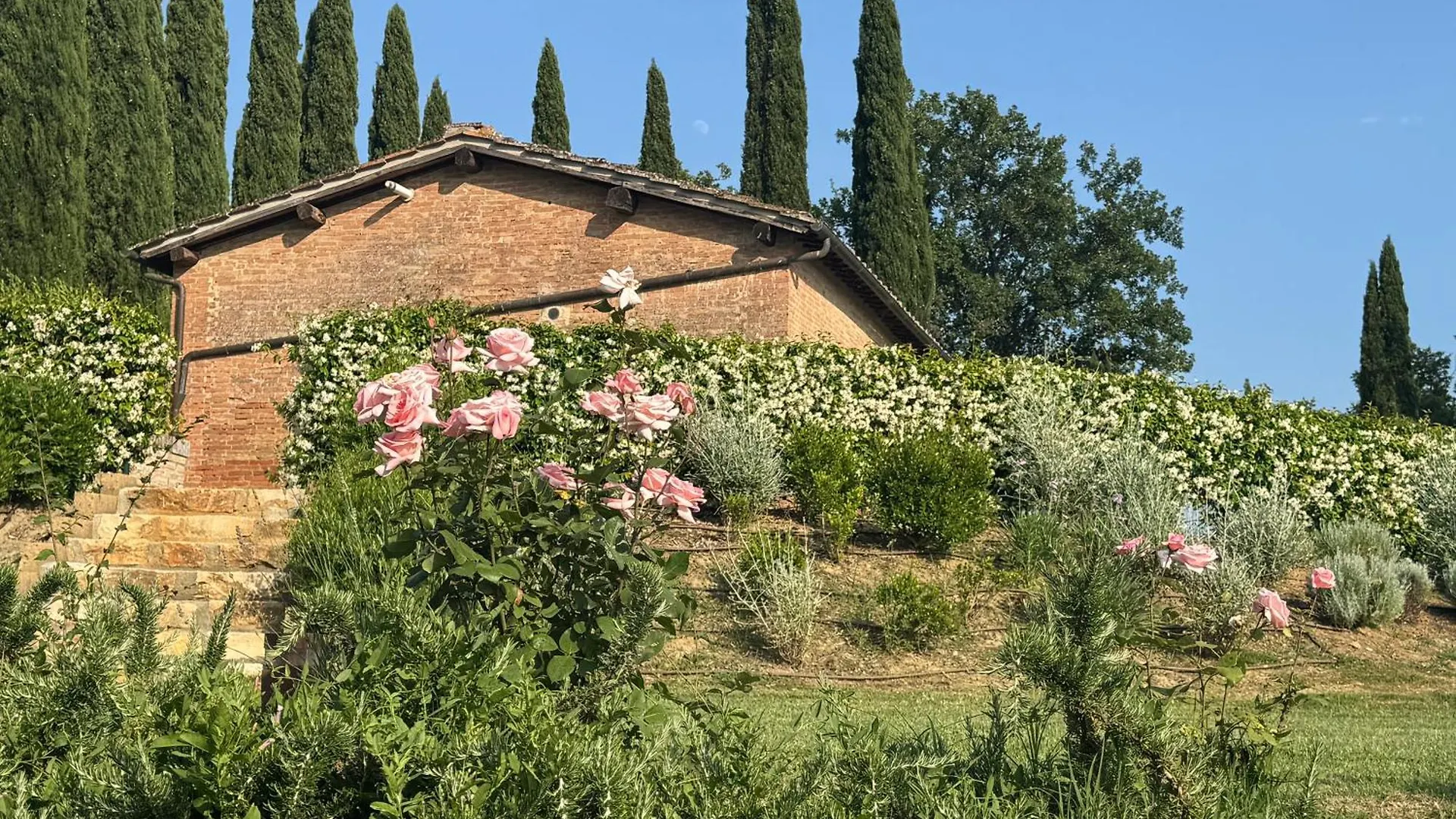 Cottage Con Piscina Immerso Nel Verde Delle Crete Senesi アッシャーノ